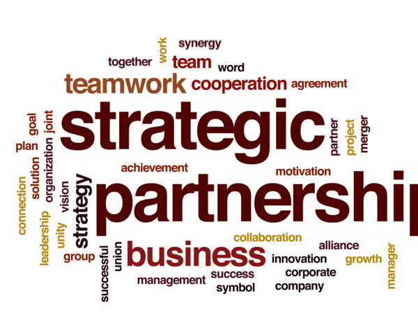 Strategic partnerships3